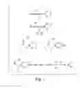 Fig. 02 - Method of regulating glucose metabolism, and reagents related thereto