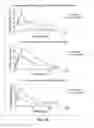 Fig. 06 - Method of regulating glucose metabolism, and reagents related thereto