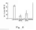 Fig. 07 - Methods for inhibiting peritoneal dissemination of cancer cells