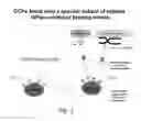 Fig. 03 - Compositions and methods for treatment of thrombosis and for prolonging survival of stored platelets