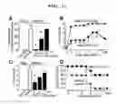 Fig. 14 - Agent for ameliorating blood-brain barrier disorders