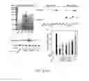 Fig. 09 - Compositions and methods for the treatment of disorders involving epithelial cell apoptosis