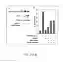 Fig. 12 - Compositions and methods for the treatment of disorders involving epithelial cell apoptosis