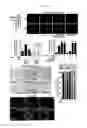 Fig. 17 - Compositions and methods for the treatment of disorders involving epithelial cell apoptosis