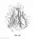 Fig. 08 - Apo-2 LIGAND/TRAIL VARIANTS AND USES THEREOF