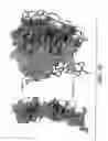 Fig. 14 - Apo-2 LIGAND/TRAIL VARIANTS AND USES THEREOF