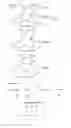 Fig. 01 - Methods of treating retinitis pigmentosa
