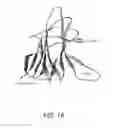 Fig. 02 - THREE-DIMENSIONAL STRUCTURES OF TALL-1 AND ITS COGNATE RECEPTORS AND MODIFIED PROTEINS AND METHODS RELATED THERETO