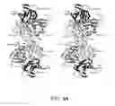 Fig. 07 - THREE-DIMENSIONAL STRUCTURES OF TALL-1 AND ITS COGNATE RECEPTORS AND MODIFIED PROTEINS AND METHODS RELATED THERETO