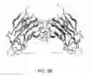 Fig. 08 - THREE-DIMENSIONAL STRUCTURES OF TALL-1 AND ITS COGNATE RECEPTORS AND MODIFIED PROTEINS AND METHODS RELATED THERETO
