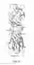 Fig. 09 - THREE-DIMENSIONAL STRUCTURES OF TALL-1 AND ITS COGNATE RECEPTORS AND MODIFIED PROTEINS AND METHODS RELATED THERETO