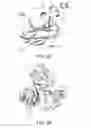 Fig. 22 - THREE-DIMENSIONAL STRUCTURES OF TALL-1 AND ITS COGNATE RECEPTORS AND MODIFIED PROTEINS AND METHODS RELATED THERETO