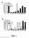 Fig. 02 - Method for improving blood flow using stilbenoid derivatives