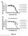 Fig. 11 - Method for improving blood flow using stilbenoid derivatives