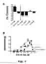 Fig. 14 - Method for improving blood flow using stilbenoid derivatives