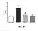 Fig. 25 - Method for improving blood flow using stilbenoid derivatives