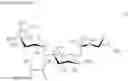 Fig. 02 - Aminoglycoside antibiotics