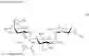 Fig. 03 - Aminoglycoside antibiotics