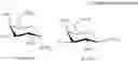 Fig. 101 - Aminoglycoside antibiotics