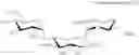 Fig. 113 - Aminoglycoside antibiotics