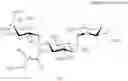 Fig. 138 - Aminoglycoside antibiotics