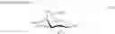 Fig. 32 - Aminoglycoside antibiotics