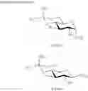Fig. 45 - Aminoglycoside antibiotics