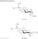 Fig. 46 - Aminoglycoside antibiotics