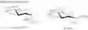 Fig. 47 - Aminoglycoside antibiotics