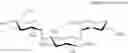 Fig. 53 - Aminoglycoside antibiotics