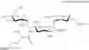 Fig. 70 - Aminoglycoside antibiotics