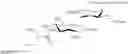 Fig. 84 - Aminoglycoside antibiotics
