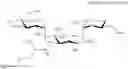 Fig. 86 - Aminoglycoside antibiotics