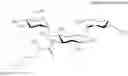 Fig. 90 - Aminoglycoside antibiotics