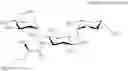 Fig. 91 - Aminoglycoside antibiotics