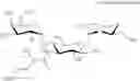 Fig. 97 - Aminoglycoside antibiotics