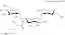 Fig. 98 - Aminoglycoside antibiotics