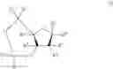 Fig. 80 - Cyclic nucleotide analogs
