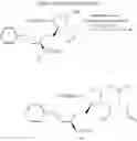 Fig. 45 - Synthesis of prostanoids