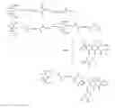 Fig. 01 - Bisphosphonate-prodrugs