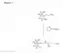 Fig. 02 - Bisphosphonate-prodrugs