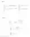 Fig. 05 - Bisphosphonate-prodrugs