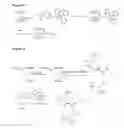 Fig. 07 - Bisphosphonate-prodrugs