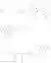 Fig. 13 - Bisphosphonate-prodrugs