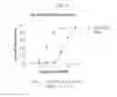 Fig. 03 - Diastereomers of 2-methylene-19-nor-22-methyl-1α,25-dihydroxyvitamin D
