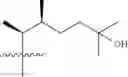 Fig. 23 - Diastereomers of 2-methylene-19-nor-22-methyl-1α,25-dihydroxyvitamin D