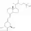 Fig. 28 - Diastereomers of 2-methylene-19-nor-22-methyl-1α,25-dihydroxyvitamin D