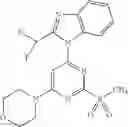 Fig. 16 - HETERO RING DERIVATIVE