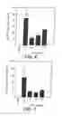 Fig. 06 - INHIBITORS OF INTERLEUKIN-1 BETA CONVERTING ENZYME