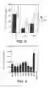 Fig. 07 - INHIBITORS OF INTERLEUKIN-1 BETA CONVERTING ENZYME